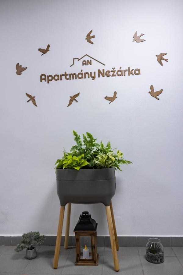 Apartmany Nezarka A Privatni Wellness جينديتشوف هراديك المظهر الخارجي الصورة