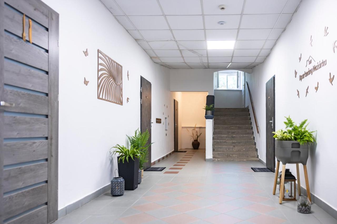Apartmany Nezarka A Privatni Wellness جينديتشوف هراديك المظهر الخارجي الصورة