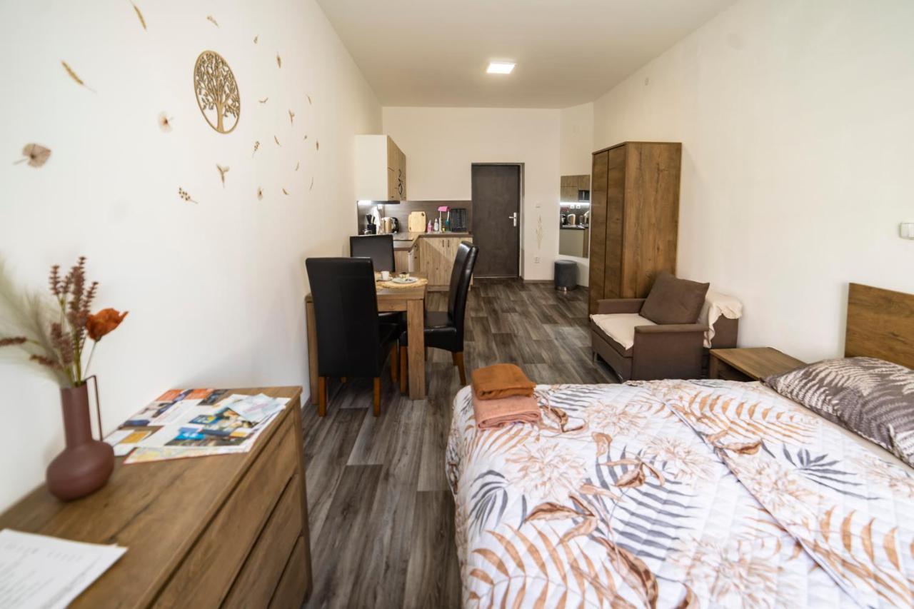 Apartmany Nezarka A Privatni Wellness جينديتشوف هراديك المظهر الخارجي الصورة