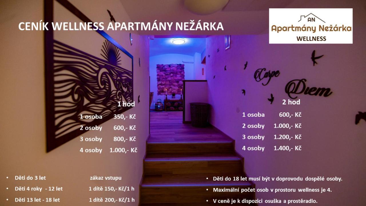 Apartmany Nezarka A Privatni Wellness جينديتشوف هراديك المظهر الخارجي الصورة
